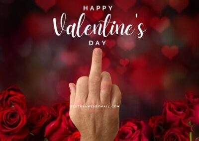 Happy Valentine's Day Middle Finger!