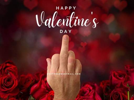Happy Valentine's Day Middle Finger!