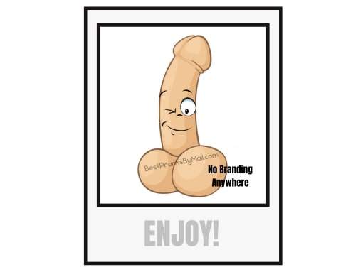 Send a "Dick Pic" Mail Prank - Image 5